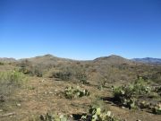 Kingsbury Mountain, Arizona