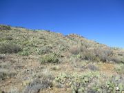 Kingsbury Mountain, Arizona