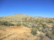 Kingsbury Mountain, Arizona