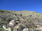 Kingsbury Mountain, Arizona