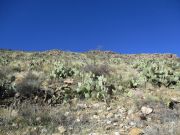 Kingsbury Mountain, Arizona