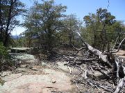 Kohls Ridge, Arizona