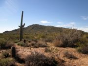 Lone Mountain Sincuidados, Arizona