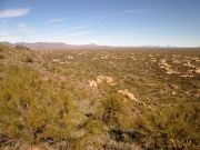 Lone Mountain Sincuidados, Arizona