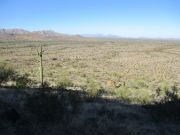 Lost Horse Peak, Arizona