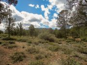 Lousy Gulch, Arizona