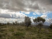 Lousy Gulch, Arizona