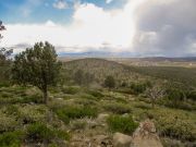 Lousy Gulch, Arizona