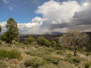 Lousy Gulch, Arizona