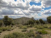 Lousy Gulch, Arizona