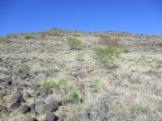 Ludden Mountain, Arizona