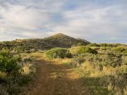 Maggie May Hill, Arizona