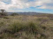 Maggie May Hill, Arizona