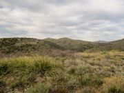 Maggie May Hill, Arizona