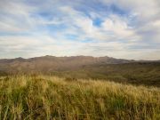 Maggie May Hill, Arizona