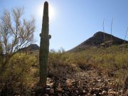 Martina Mountain, Arizona