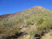 Martina Mountain, Arizona