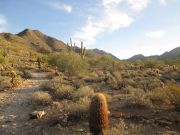 McDowell Peak, Arizona