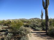 Middle Mountain, Arizona