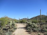 Middle Mountain, Arizona