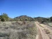 Middle Mountain, Arizona