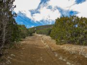 Cerro Montoso, Arizona