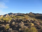 Nutt Benchmark, Arizona