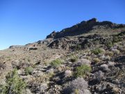 Nutt Benchmark, Arizona