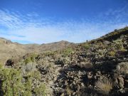 Nutt Benchmark, Arizona