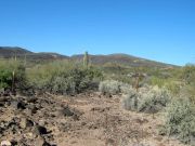 Oatman Mountain, Arizona