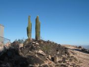 Oatman Mountain, Arizona