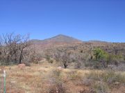 Mount Ord, Arizona