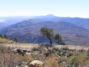 Mount Ord, Arizona