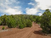 Ortega Mountain, Arizona