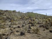 Palo Verde Hills, Arizona