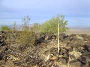 Palo Verde Hills, Arizona