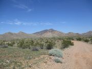 Peak 2283 Gila Bend Mountains