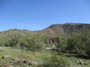 Peak 2283 Gila Bend Mountains