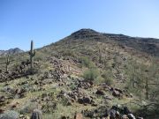 Peak 2283 Gila Bend Mountains