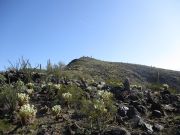 Peak 2283 Gila Bend Mountains