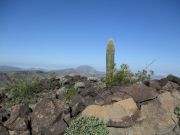 Peak 2283 Gila Bend Mountains