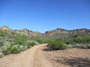 Peak 3134, Arizona