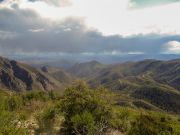 Mount Peeley, Arizona