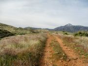 Peters Mountain, Arizona