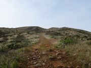 Peters Mountain, Arizona