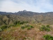 Peters Mountain, Arizona