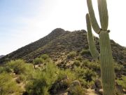 Phoenix Arrow, Arizona