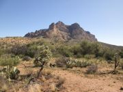 Picketpost Mountain, Arizona