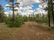 Pine Hill Bargaman Flat, Arizona