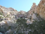 Pinta Benchmark, Arizona